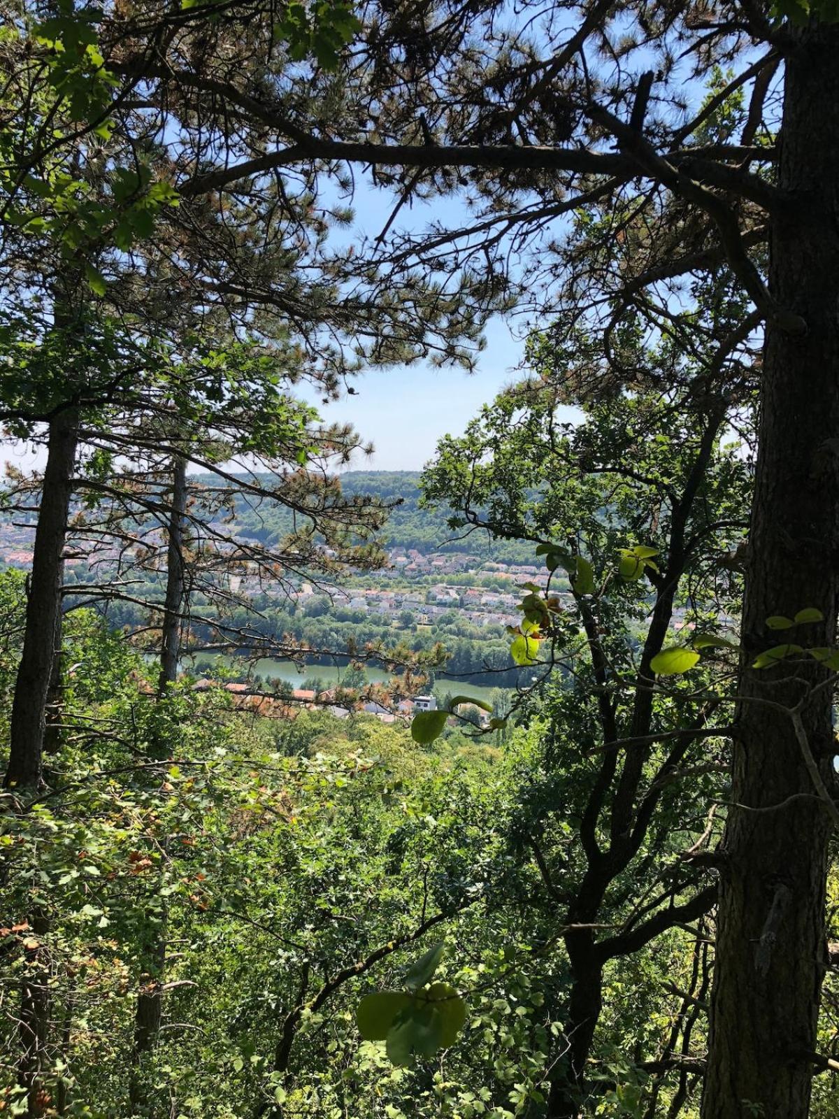 Le Nid - Maison Proche De La Foret Frouard Buitenkant foto